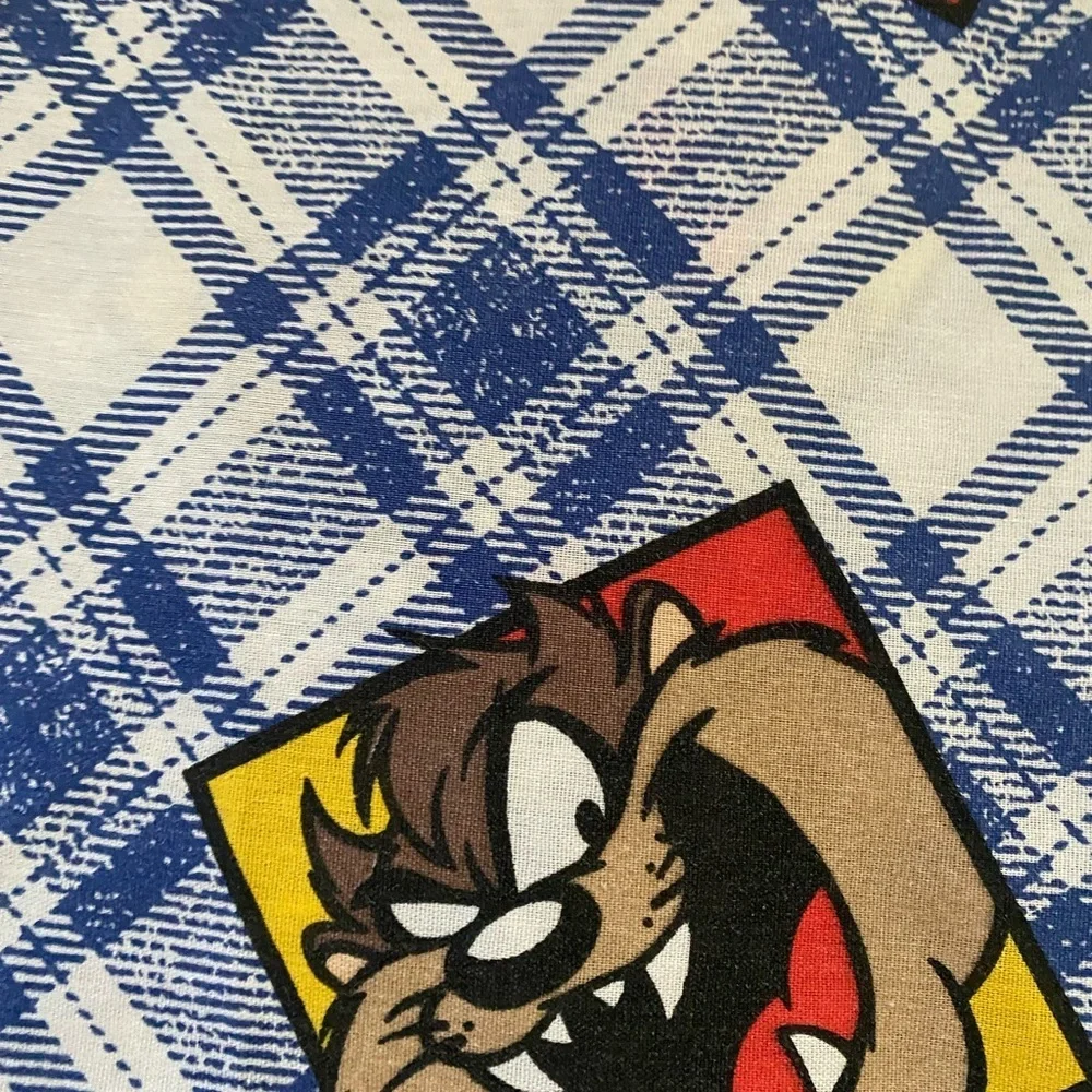 Vintage 1995 Looney Tunes Warner Bros. Character Plaid Blue WhiteTwin Flat Sheet